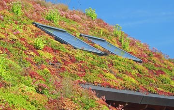 Chilbolton living roof systems