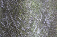 Chilbolton fibreglass roof work